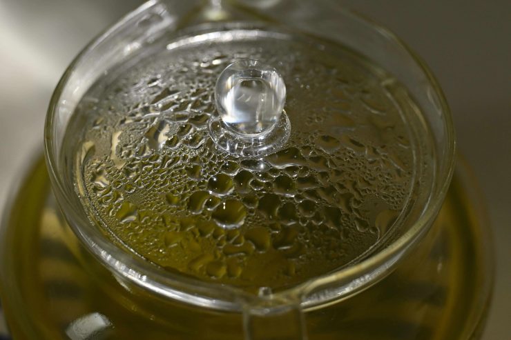 NANLITE Bowens Mount Projection Attachment 25°–45° 21044