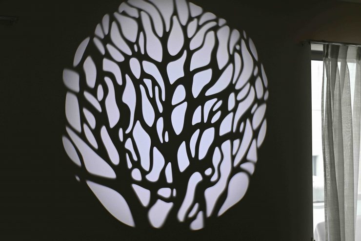 NANLITE Bowens Mount Projection Attachment 25°–45° 21056