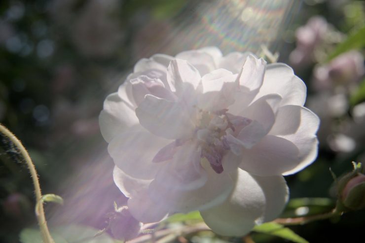 Screenshot 2025 09 10 at 14 55 45