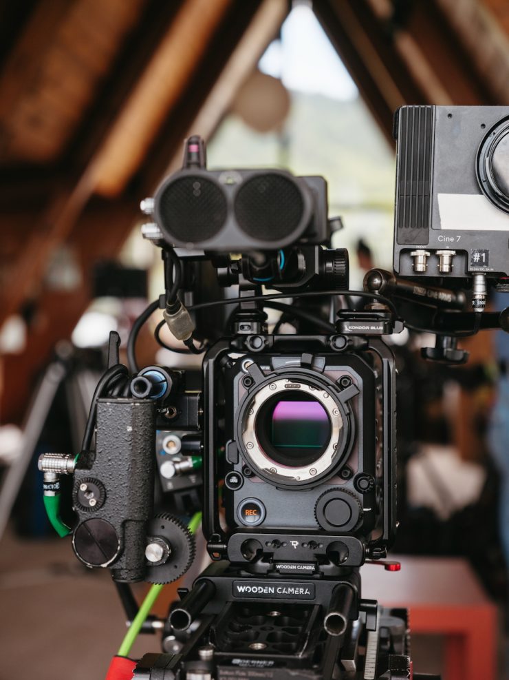 Tuttle Fujifilm 20250613 0407